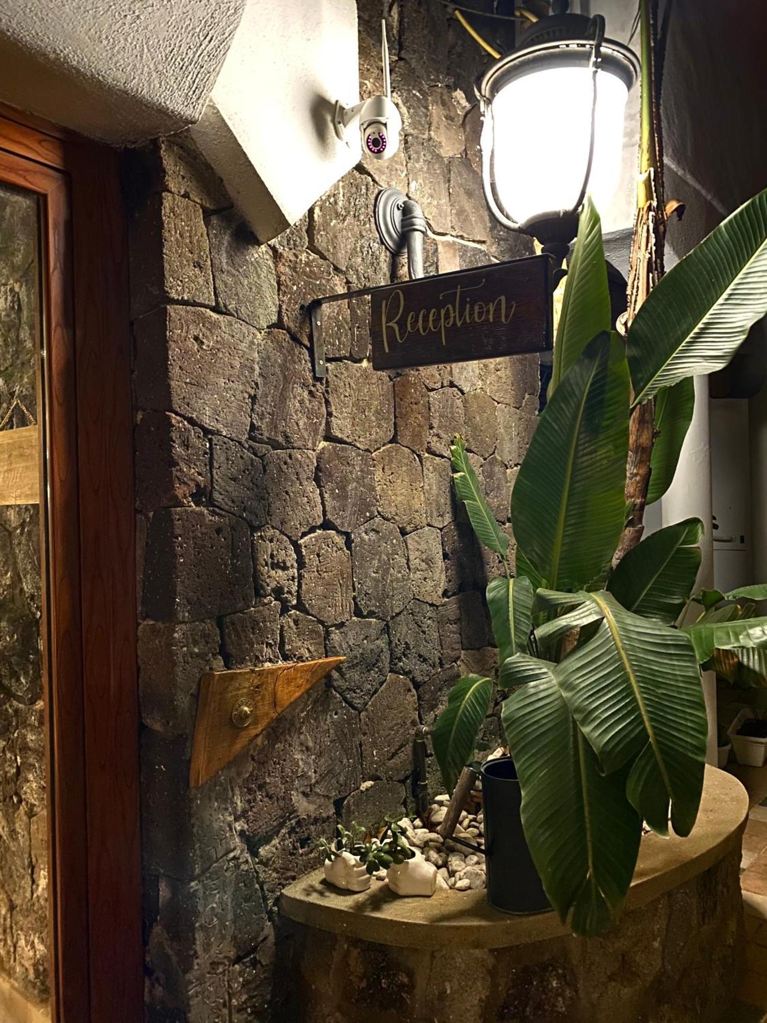 Black Market Hotel イスキア島 エクステリア 写真